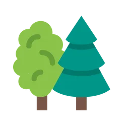 5th Wedding Anniversary (Wood)