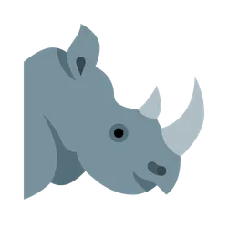 Rhinos