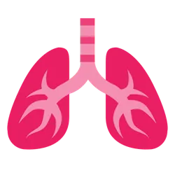 Respiratory Problems (Asthma, COPD, etc.)